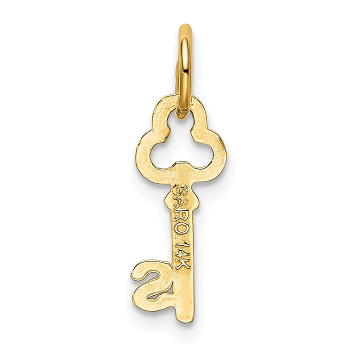 Million Charms 14K Yellow Gold Themed S Key Charm