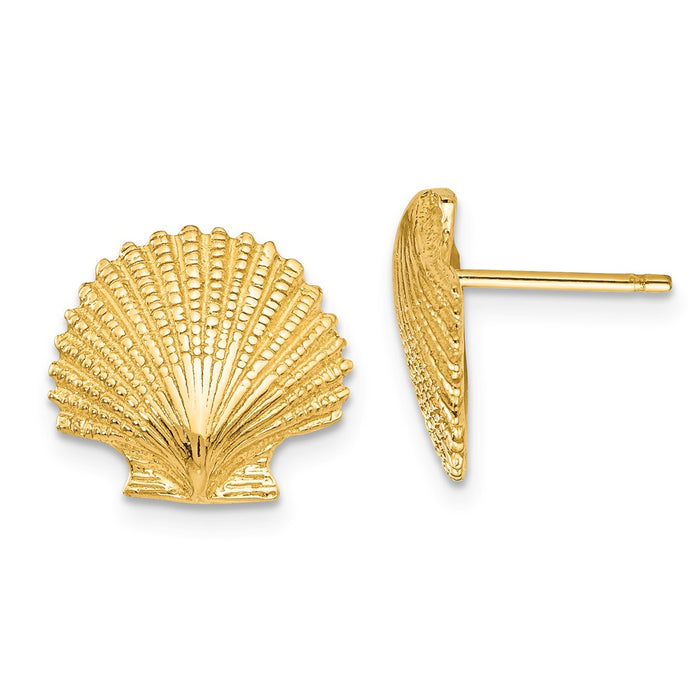 Million Charms 14k Yellow Gold Scallop Shell Post Earrings, 13mm x 13mm