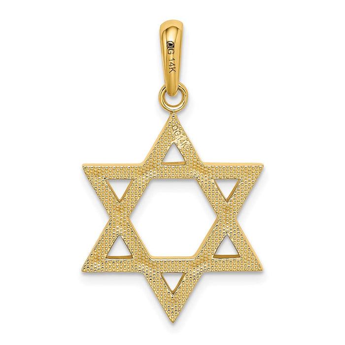 Million Charms 14K Yellow Gold Themed Religious Jewish Star Of David Pendant