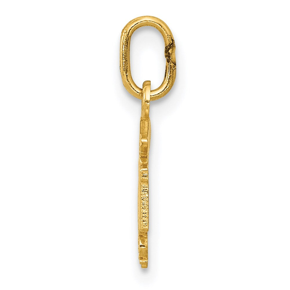 Million Charms 14K Yellow Gold Themed Diamond-Cut Polished RN (Registered Nurse) Nurse Pendant