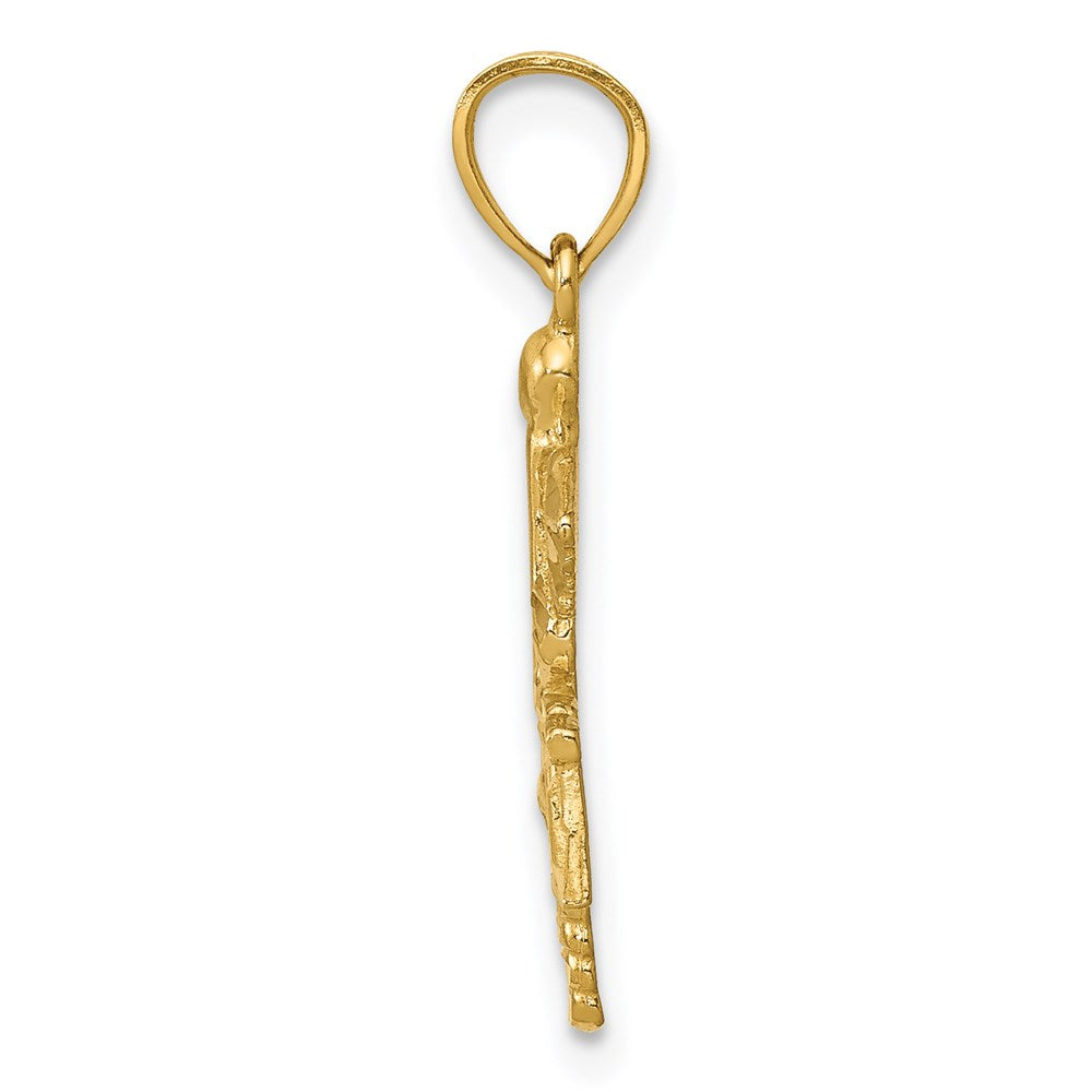 Million Charms 14K Yellow Gold Themed Diamond-Cut RN (Registered Nurse) Pendant