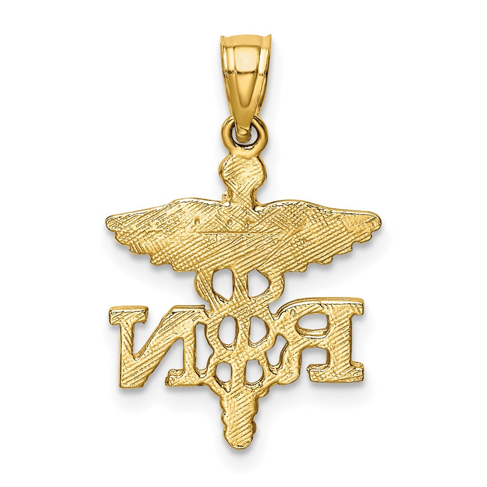 Million Charms 14K Yellow Gold Themed Diamond-Cut RN (Registered Nurse) Pendant