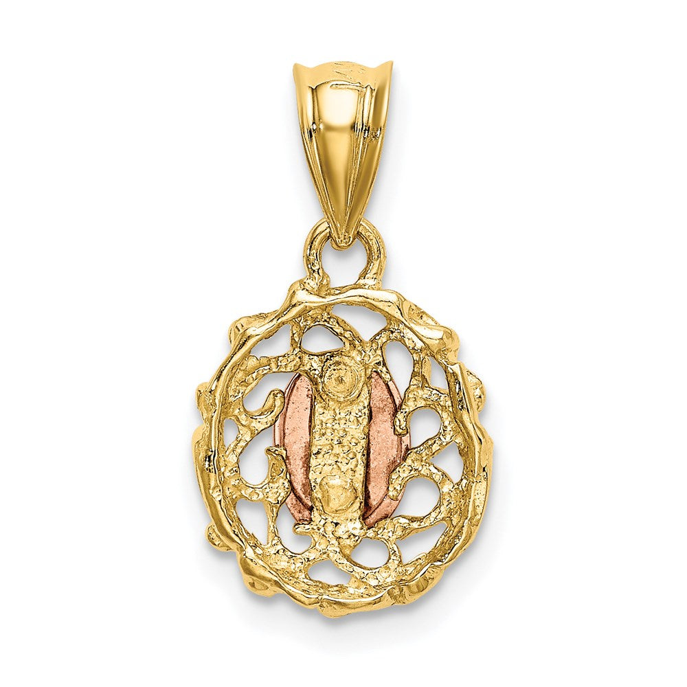 Million Charms 14K Two-Tone White Rhodium-plated Polished Lady Of Guadalupe Pendant