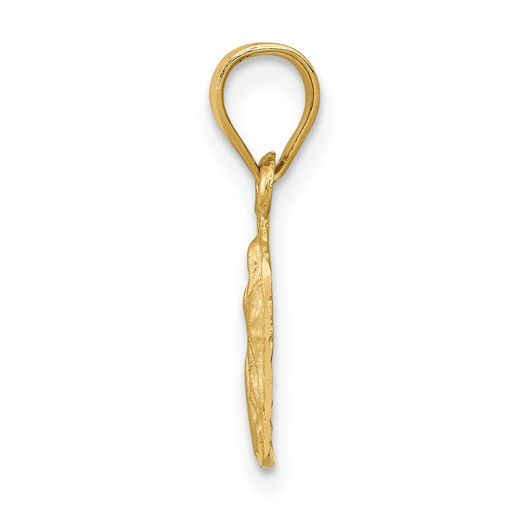 Million Charms 14K Yellow Gold Themed Satin & Diamond-Cut Relgious Our Lady Of Guadalupe Pendant