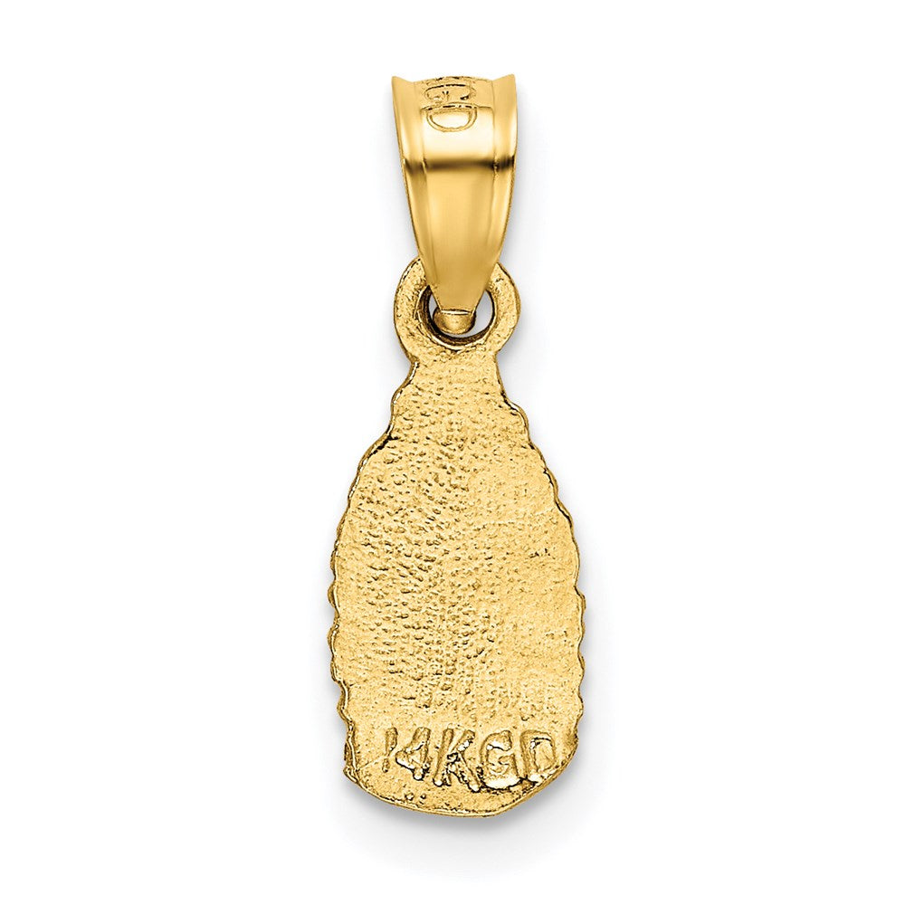 Million Charms 14K Yellow Gold Themed Satin & Diamond-Cut Relgious Our Lady Of Guadalupe Pendant