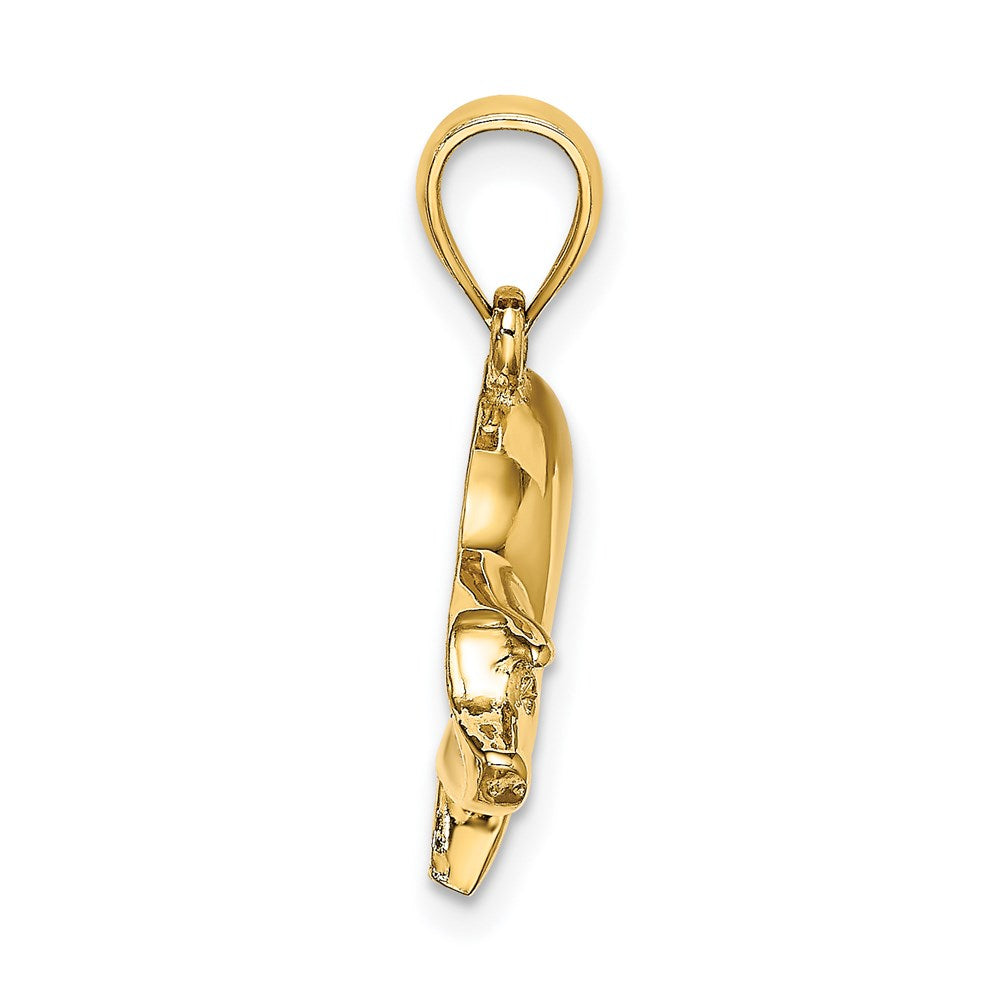 Million Charms 14K Yellow Gold Themed 2-D & Polished Pig Charm