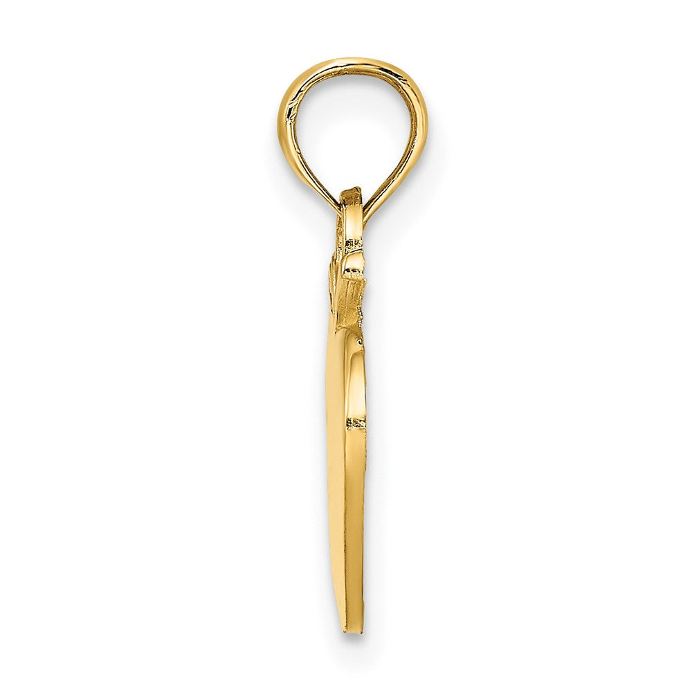 Million Charms 14K Yellow Gold Themed 2-D & Polished Apple Charm