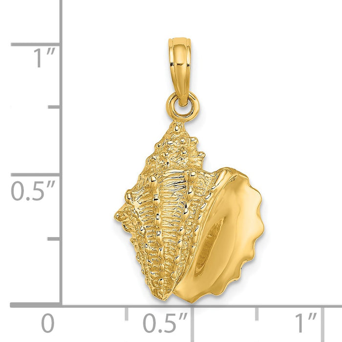 Million Charms 14K Yellow Gold Themed 2-D Conch Shell Charm