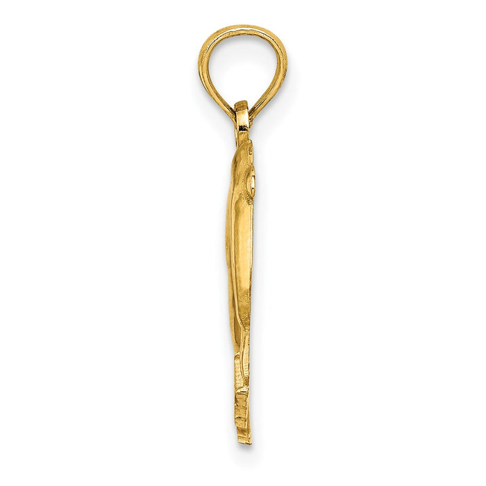 Million Charms 14K Yellow Gold Themed 2-D & Polished Rehoboth With Jumping Dolphins Charm