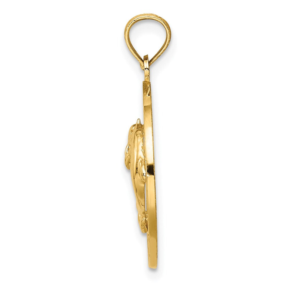 Million Charms 14K Yellow Gold Themed Pawleys Island Round Frame With Dolphin Charm
