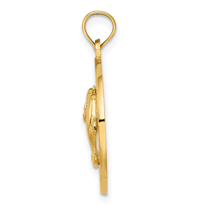 Million Charms 14K Yellow Gold Themed Charleston Round Frame With Dolphin Charm