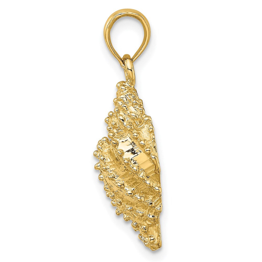 Million Charms 14K Yellow Gold Themed 2-D Textured Conch Shell Charm