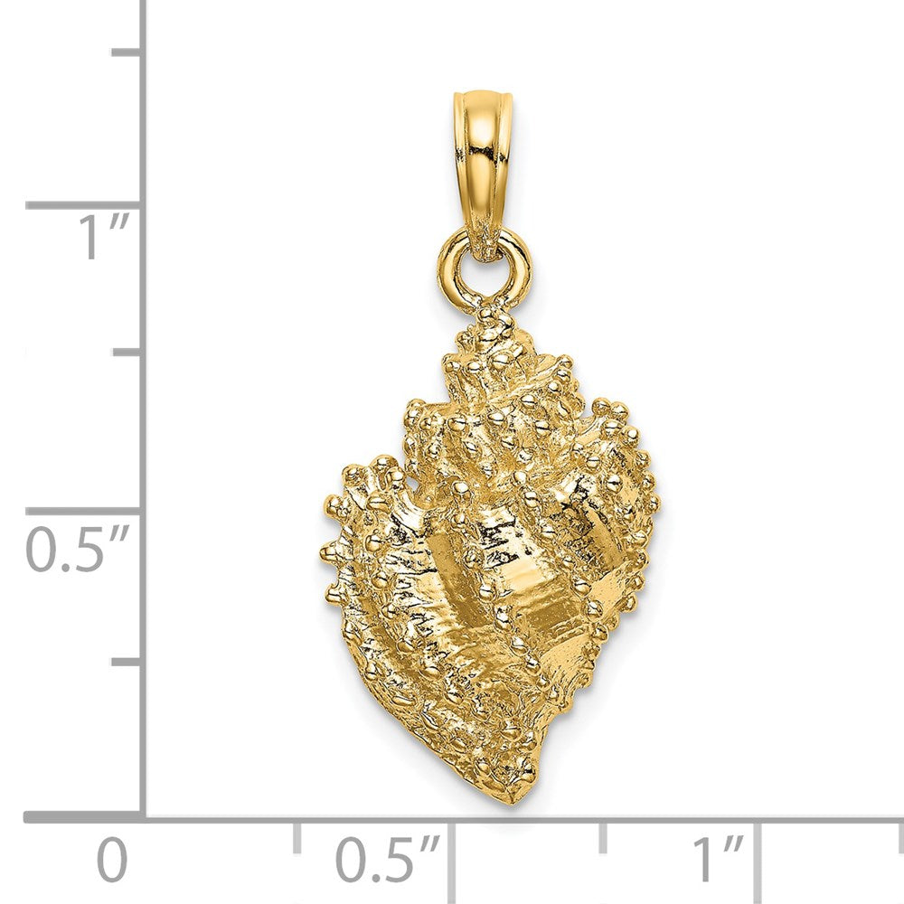 Million Charms 14K Yellow Gold Themed 2-D Textured Conch Shell Charm