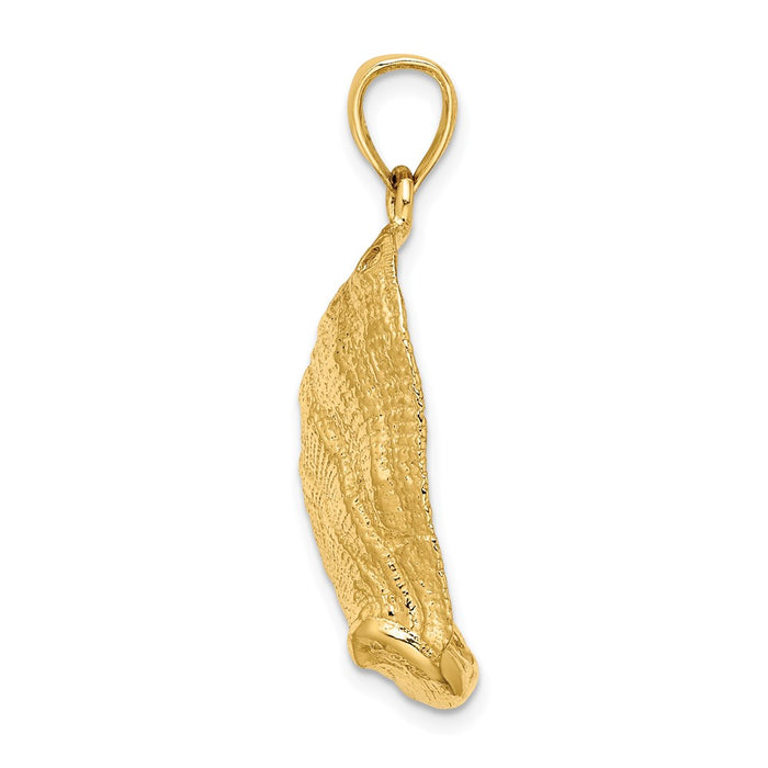 Million Charms 14K Yellow Gold Themed 2-D Abalone Shell Charm