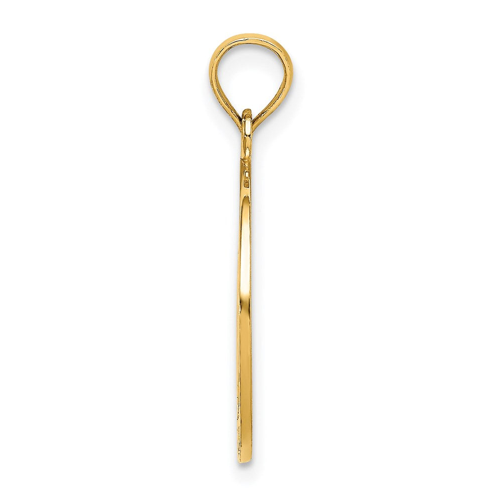 Million Charms 14K Yellow Gold Themed Virginia Beach Dolphins In Center Charm