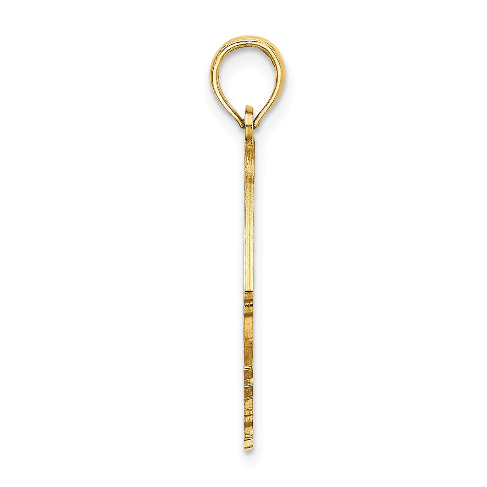 Million Charms 14K Yellow Gold Themed Polished & Cut-Out Aruba Under Angelfish Charm