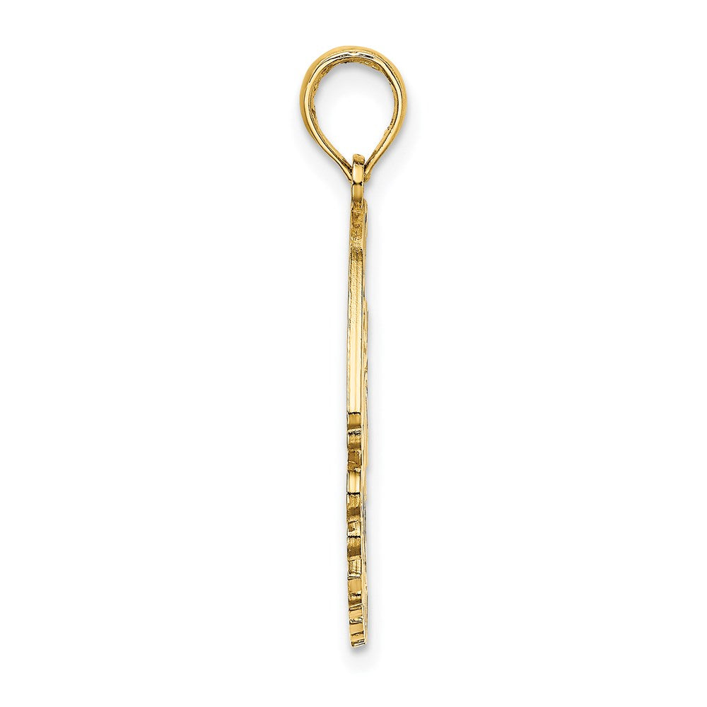 Million Charms 14K Yellow Gold Themed Polished Curacao Under Angelfish Charm