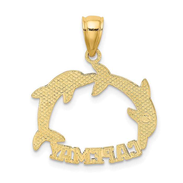 Million Charms 14K Yellow Gold Themed Cape May With Double Jumping Dolphin Charm