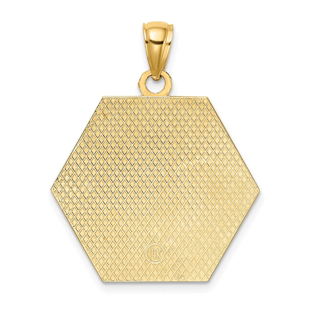 Million Charms 14K Yellow Gold Themed Textured Back Caduceus Medical Disc