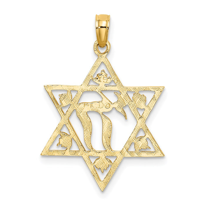 Million Charms 14K Yellow Gold Themed Textured Religious Jewish Star Of David Charm