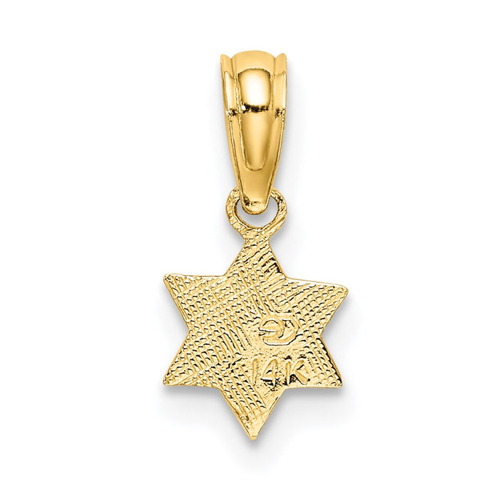 Million Charms 14K Yellow Gold Themed Engraved Mini Religious Jewish Star Of David Charm