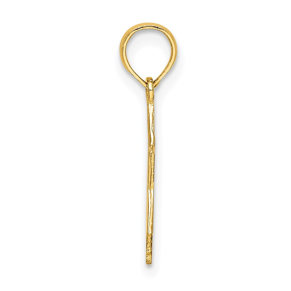 Million Charms 14K Yellow Gold Themed Polished Religious Jewish Star Of David Charm
