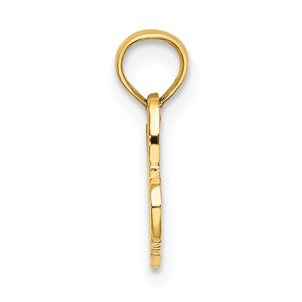 Million Charms 14K Yellow Gold Themed 100% Hawaiian Charm
