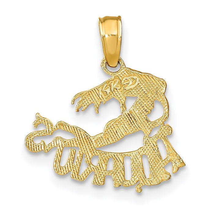 Million Charms 14K Yellow Gold Themed Engraved & Block Aquarius Charm