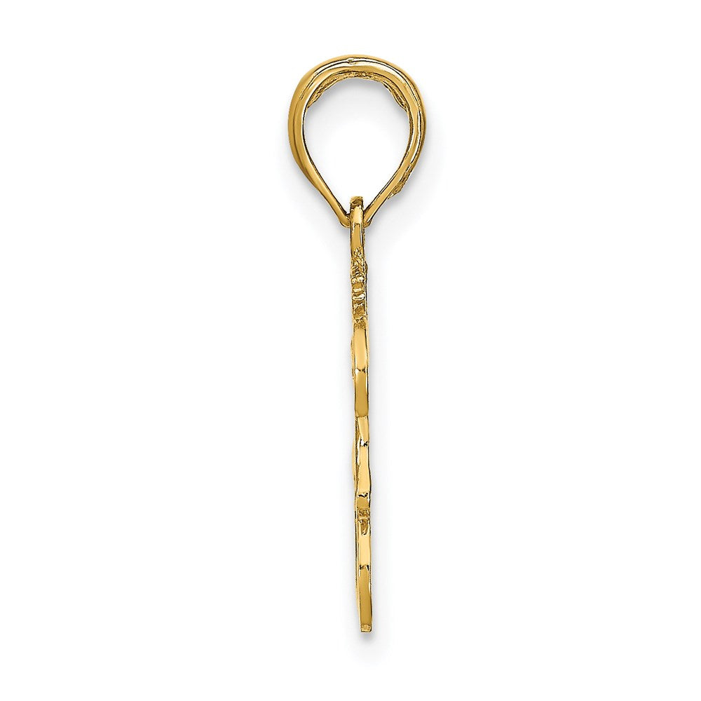 Million Charms 14K Yellow Gold Themed Engraved & Block Leo Charm
