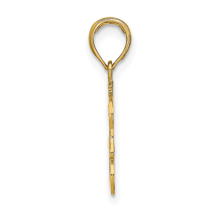 Million Charms 14K Yellow Gold Themed Engraved & Block Leo Charm