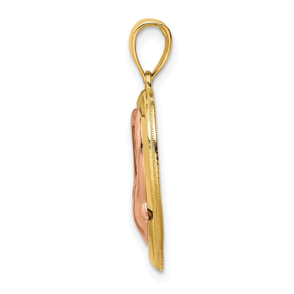 Million Charms 14K Two-Tone With White Rhodium-plated & Polished Dolphins In Heart Frame Charm