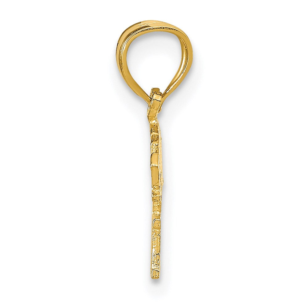 Million Charms 14K Yellow Gold Themed Born To Win Pendant