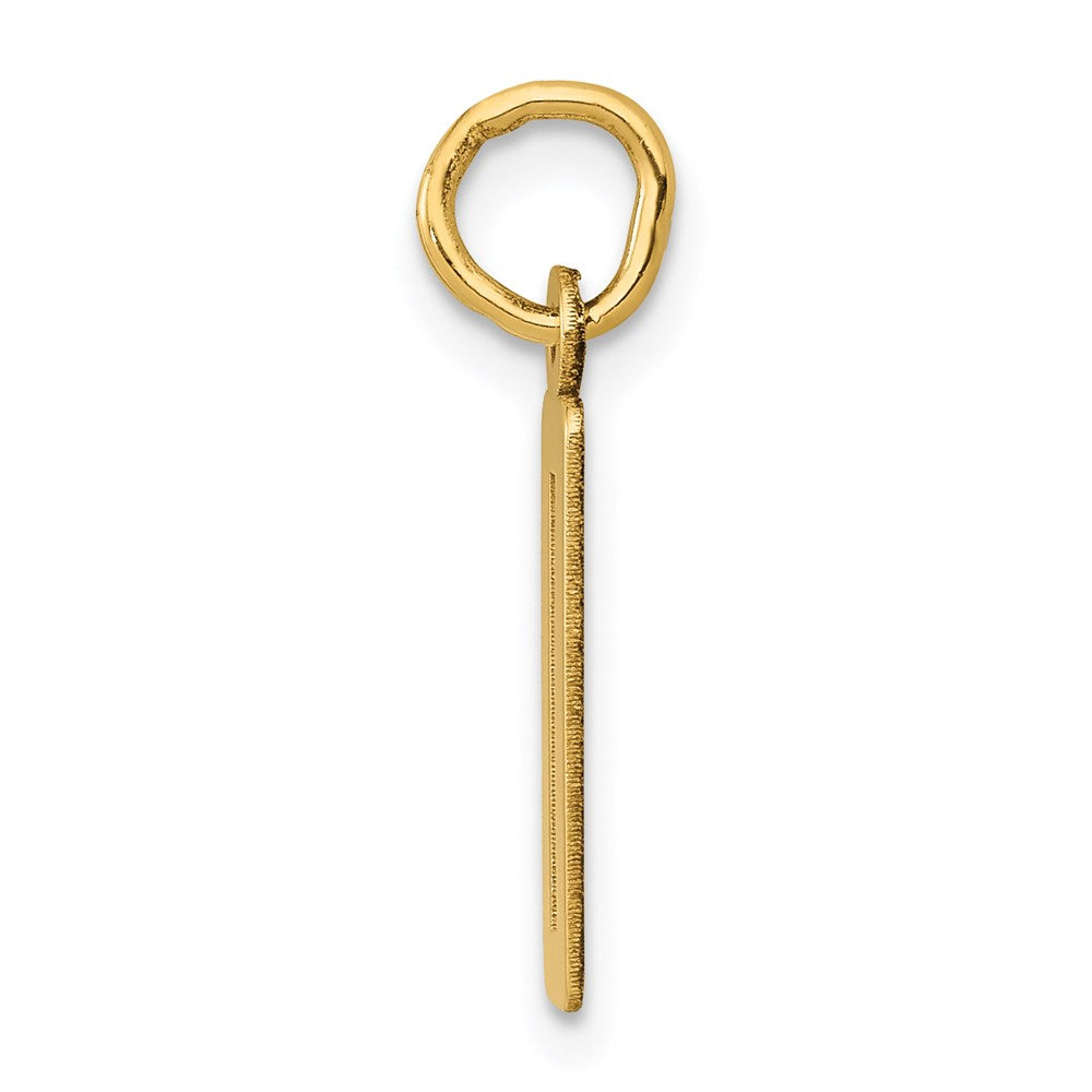 Million Charms 14K Yellow Gold Themed Small Polished Elongated 0 Charm