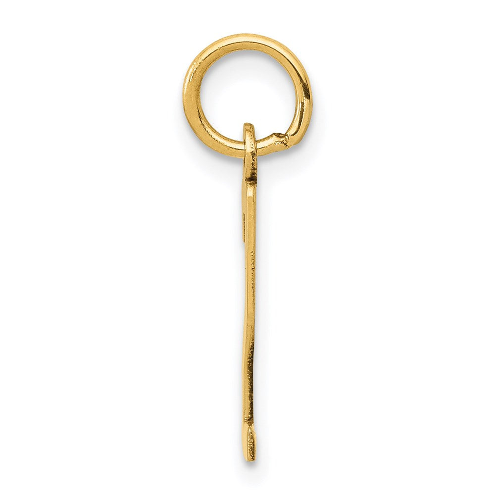 Million Charms 14K Yellow Gold Themed Small Polished Elongated 2 Charm