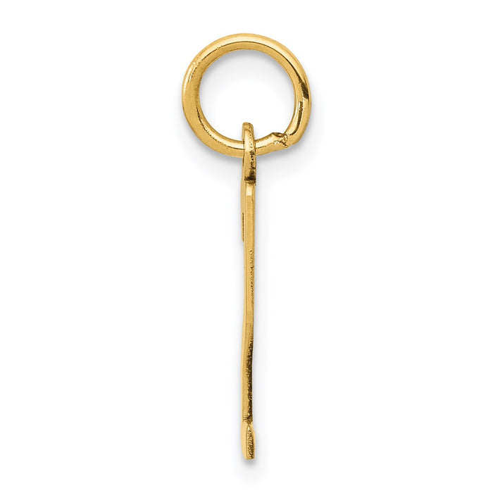 Million Charms 14K Yellow Gold Themed Small Polished Elongated 2 Charm