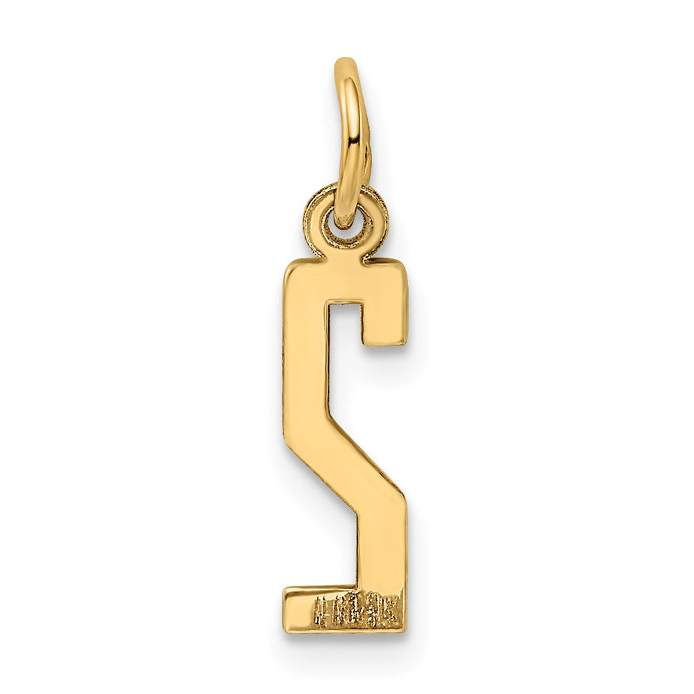 Million Charms 14K Yellow Gold Themed Small Polished Elongated 2 Charm