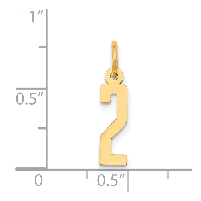 Million Charms 14K Yellow Gold Themed Small Polished Elongated 2 Charm