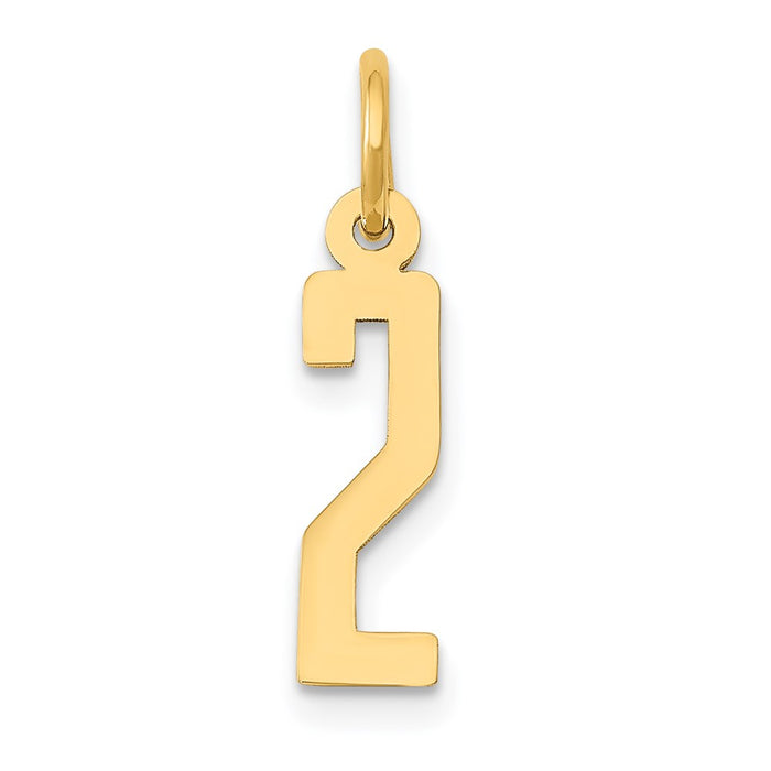 Million Charms 14K Yellow Gold Themed Small Polished Elongated 2 Charm
