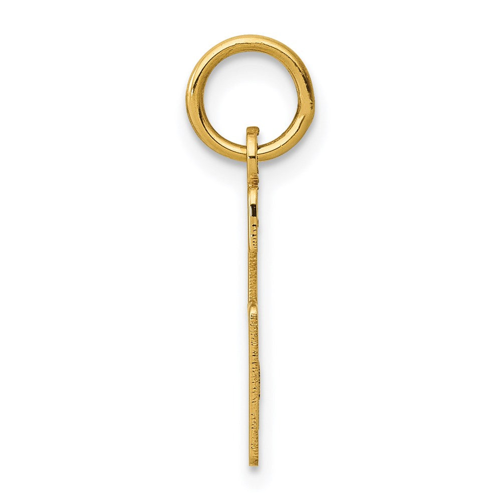 Million Charms 14K Yellow Gold Themed Small Polished Elongated 6 Charm