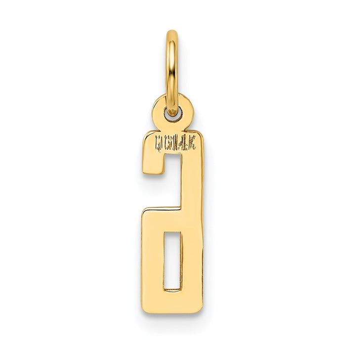 Million Charms 14K Yellow Gold Themed Small Polished Elongated 6 Charm