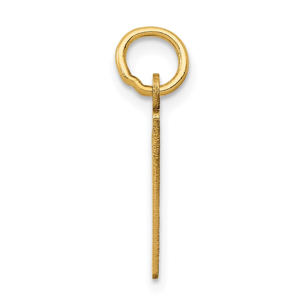 Million Charms 14K Yellow Gold Themed Small Polished Elongated 9 Charm