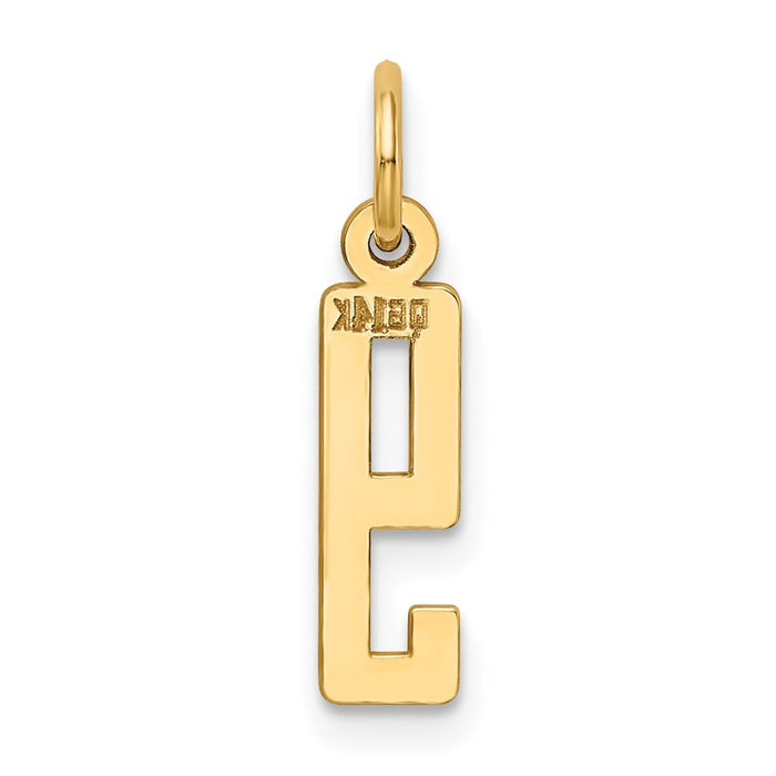Million Charms 14K Yellow Gold Themed Small Polished Elongated 9 Charm