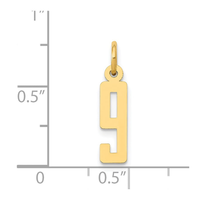 Million Charms 14K Yellow Gold Themed Small Polished Elongated 9 Charm