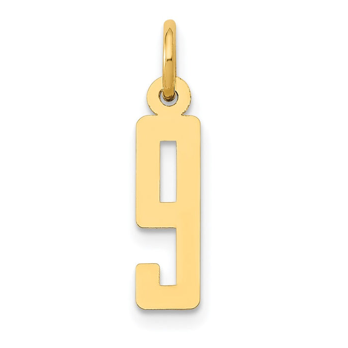 Million Charms 14K Yellow Gold Themed Small Polished Elongated 9 Charm