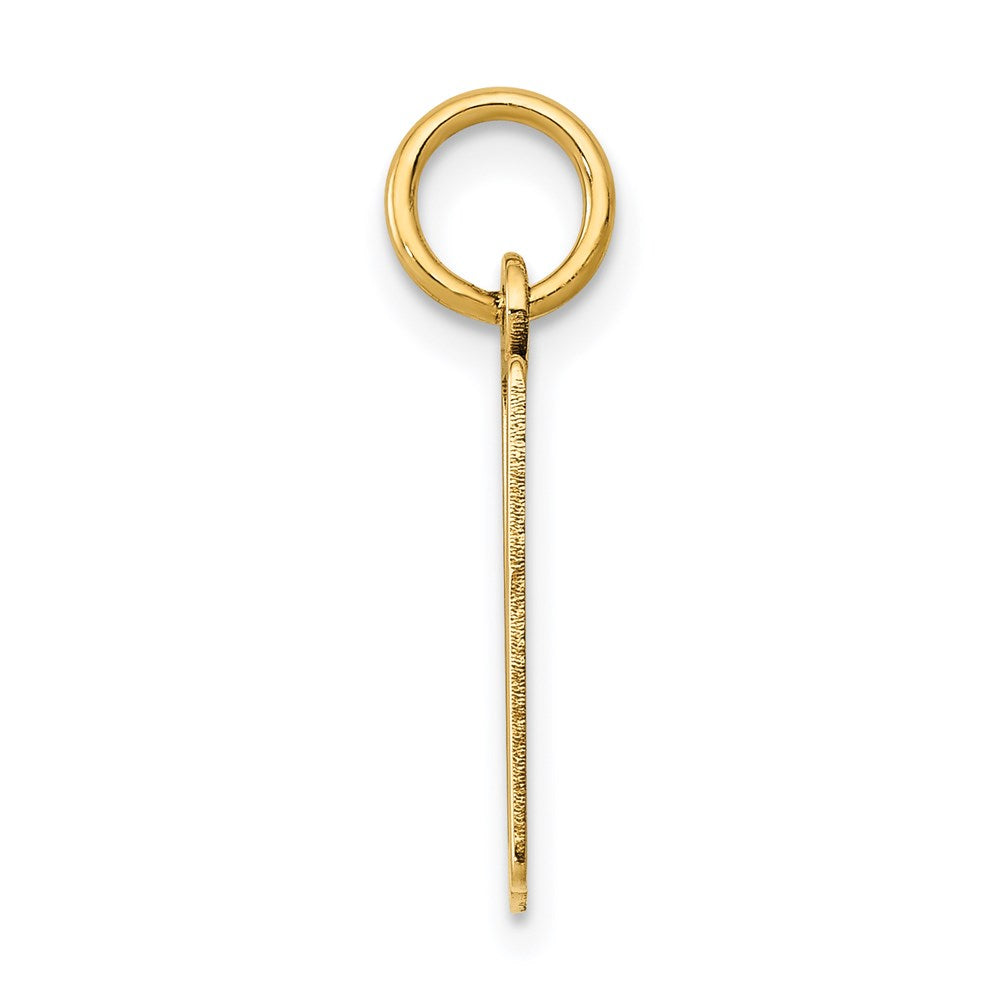 Million Charms 14K Yellow Gold Themed Small Polished Elongated 10 Charm