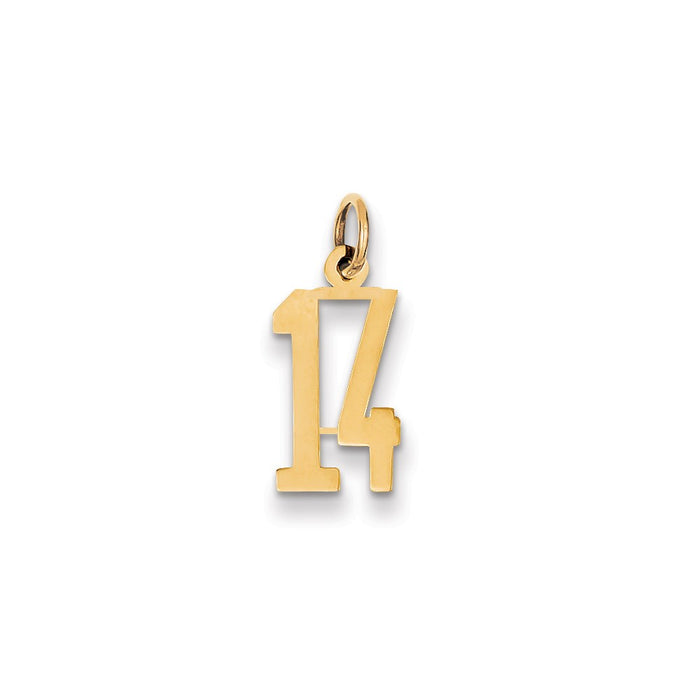 Million Charms 14K Yellow Gold Themed Small Polished Elongated 14 Charm