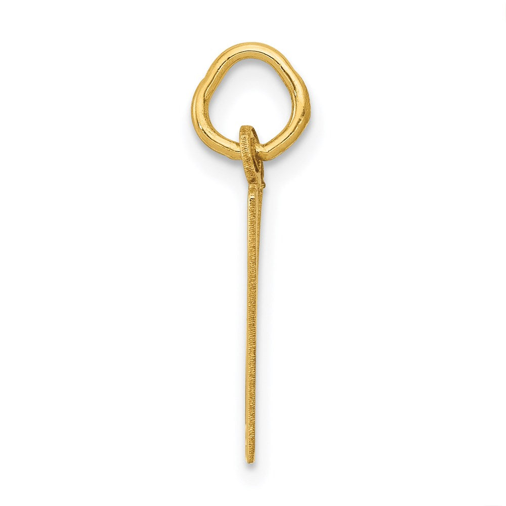 Million Charms 14K Yellow Gold Themed Small Polished Elongated 17 Charm