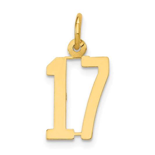 Million Charms 14K Yellow Gold Themed Small Polished Elongated 17 Charm