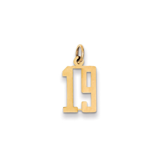 Million Charms 14K Yellow Gold Themed Small Polished Elongated 19 Charm