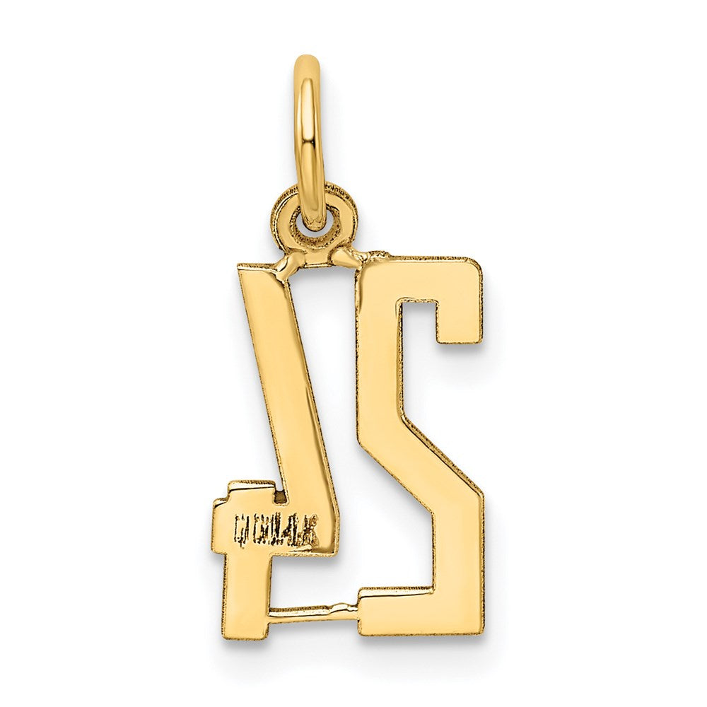 Million Charms 14K Yellow Gold Themed Small Polished Elongated 24 Charm